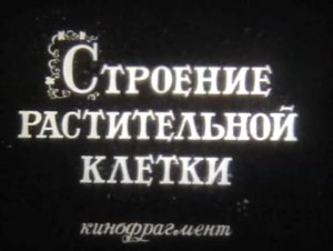 Строение растительной клетки