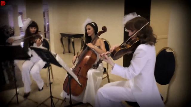 Струнное трио Violin Group DOLLS на "Rock in love" wedding