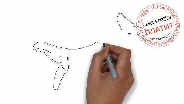 Как нарисовать китенка малыша смотреть онлайн