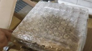 Получил посылку от  "Кубанская перепелка". Распаковка и закладка в инкубатор.