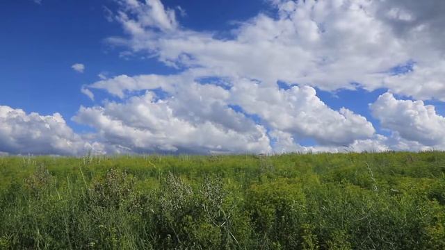 Звуки природы звуки степи для релаксации сна медитации звукиприроды звукистепи  медитация