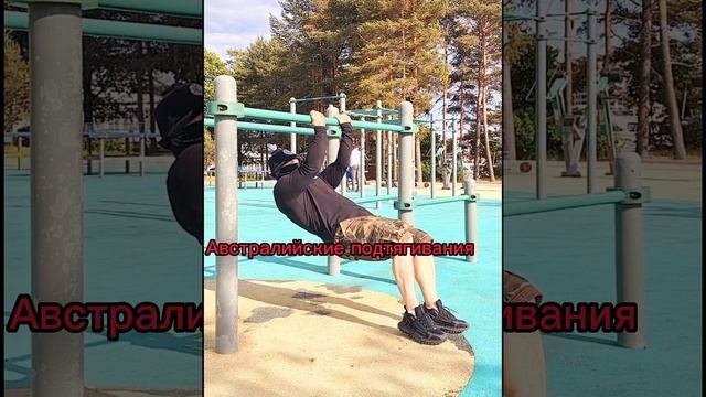 05.06.2023.Тренировкас собственным весом:
Бицепс, трицепс, мышцы кора, мышцы спины.