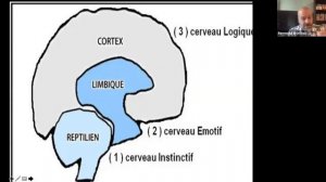 Quel est votre WHY? Webinaire par Raymond Brisebois, coach en communication