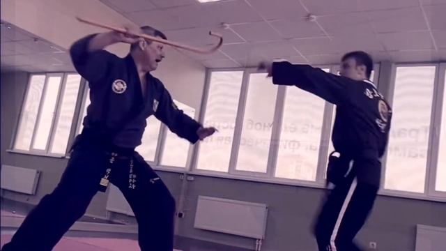 Cane in HapKiDo смотреть онлайн