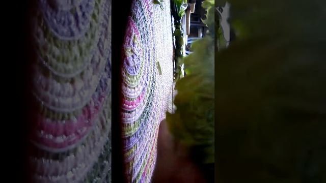 Как сделать вкусное лакомство для морской свинки смотреть онлайн