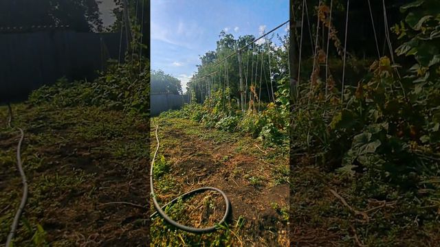 Переезд на Кубань. Сады- огороды/ Агентство недвижимости ст Каневская. Переезд на Юг.8-918-2502052
