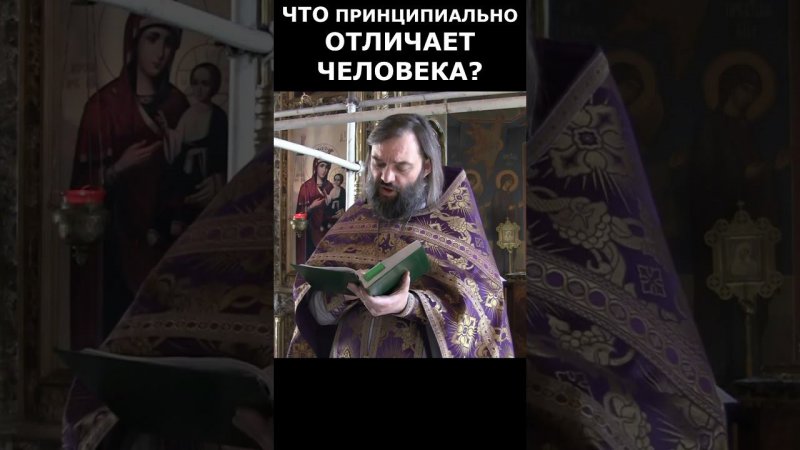 Что принципиально отличает человека? Священник Валерий Сосковец #жизнь