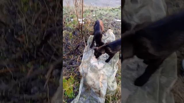 12 февраля 2024 г. смотреть онлайн