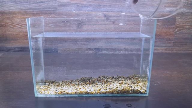6 СПОСОБОВ СЛИТЬ ВОДУ ИЗ АКВАРИУМА ОБЫЧНЫМ ШЛАНГОМ смотреть онлайн