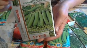 Новый сорт гороха Безлистный Афилла.Не требует опоры! Без листьев!