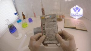 Томат Волгоградец.  Ваше Хозяйство