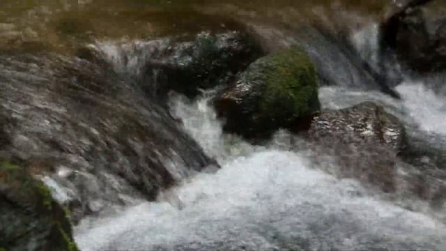 Руслан Алехно - Давай забудем смотреть онлайн