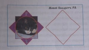 Люди боятся что с ними будет - Глобальная волна