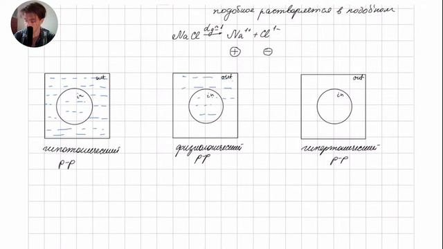 Осмос💦: осмотическое давление и параметры, влияющие на него 🦠 | По понятиям 😈