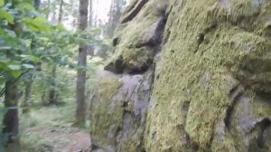 Разбитый камень (Валун) Альбертин. Слоним. Беларусь