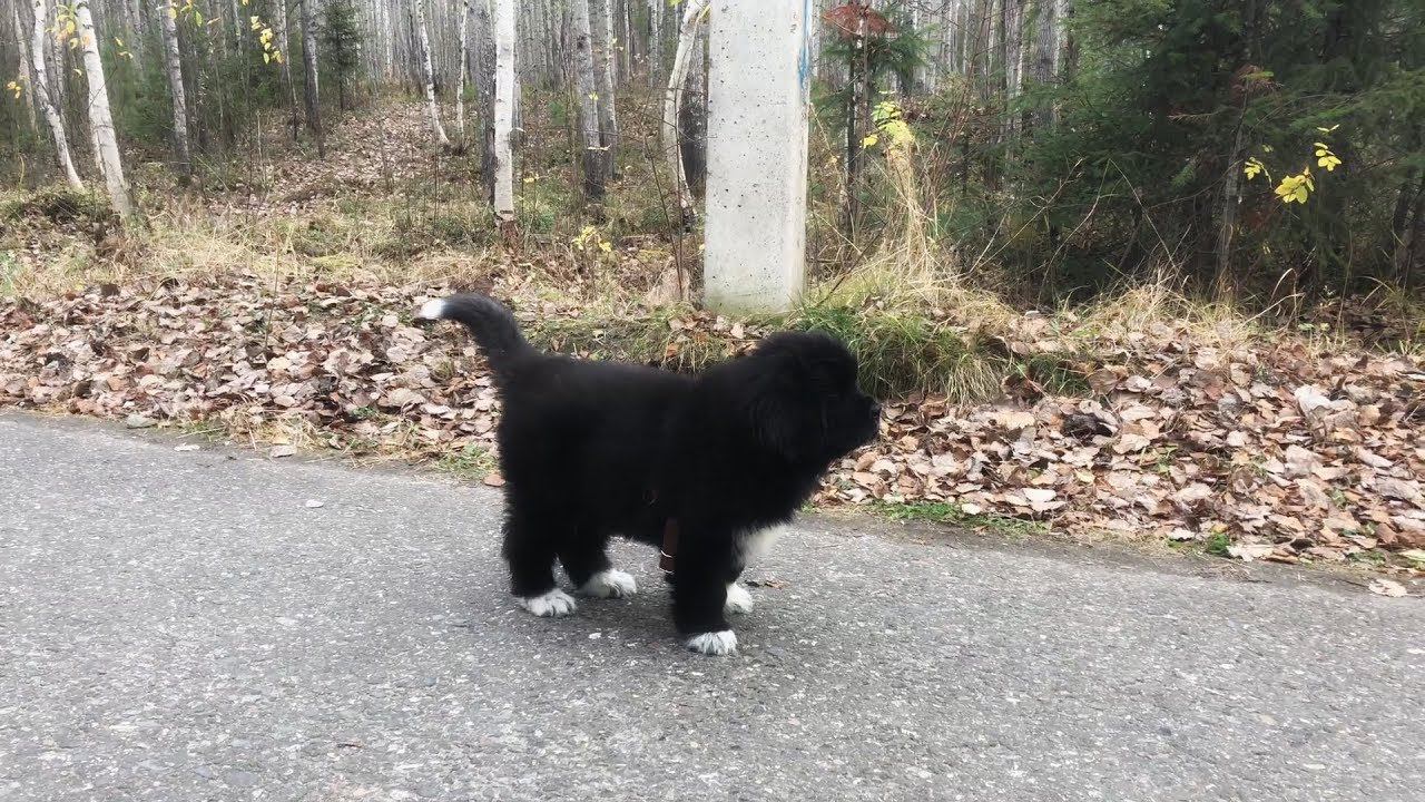 LUNA смотреть онлайн