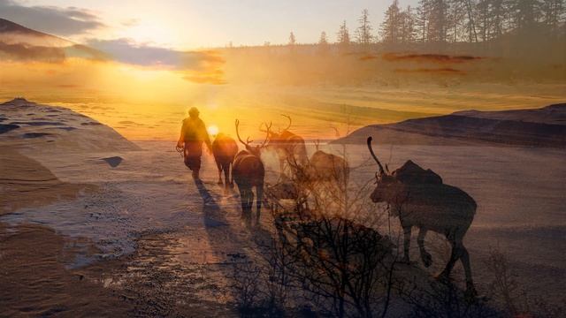 Анатолий Полотно На Севере смотреть онлайн