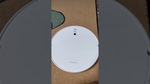 Голосовой пакет "Дерзкая леди" на роботе-пылесосе xiaomi