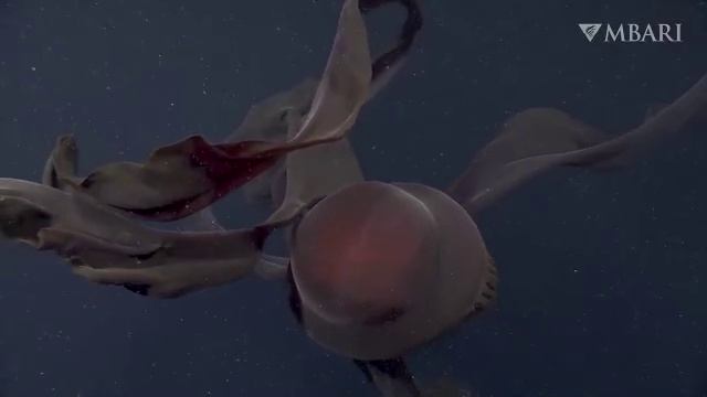 Дементры в реальной жизни?