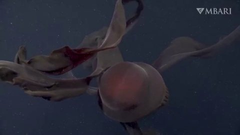 Дементры в реальной жизни?