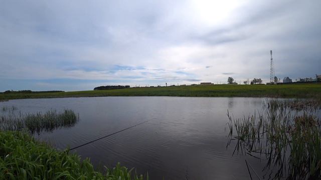 Рыбалка на карася. Ловля карася на поплавочную удочку. Попали на жор карася. смотреть онлайн