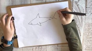 Kids Animal Drawings - How to Draw a Great White Shark