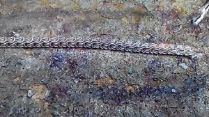 Как паять серебряную цепочку розочка. Пайка плетения розочка