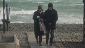 В Новороссийске включили сирены из-за ураганного ветра, роняющего деревья