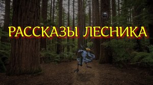 РАССКАЗЫ ЛЕСНИКА. Реальная история