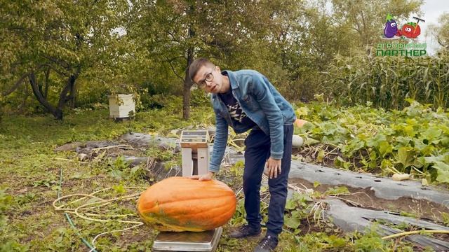 МЕГАТЫКВА АТЛАНТ смотреть онлайн