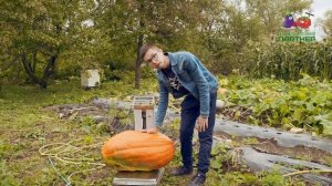 МЕГАТЫКВА АТЛАНТ