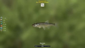 Трофейная рыбалка 2  Фарм золота Как добыть голду