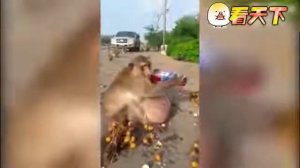 Как живут русские в Китае?