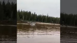 Лодка Тактика 430