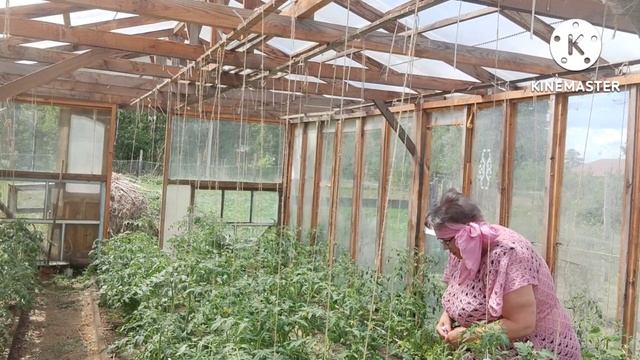 1154г. Заливаем и готовим для бассейна площадку. И огород никто не отменял... смотреть онлайн