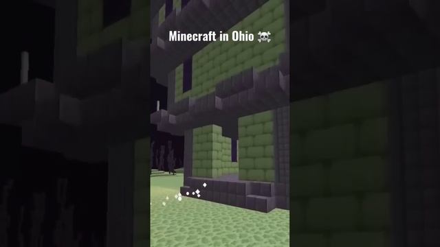 Can't even play Minecraft in Ohio ? Pt 2