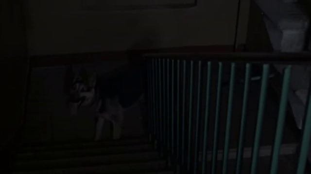 Местоимение - происхождение