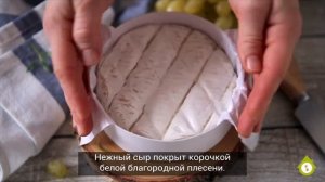 Продукты «Ешь Деревенское». Сыр из козьего молока "Камамбер" с белой плесенью от Андрея Акесоло