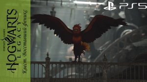 Hogwarts Legacy / Хогвартс Наследие. Квест: Восставший феникс на Playstation 5