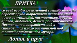 Притча Лотос и пруд. Мудрая и поучительная притча. Пламя мудрости.