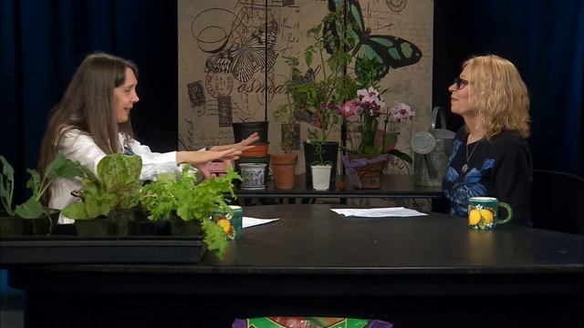 Darlene Carman Presents: Gardening in Containers смотреть онлайн