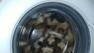 Стиральная машина Samsung Ежедневная стирка 40° 800 rpm