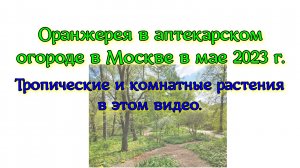 Оранжерея в аптекарском огороде в Москве в мае 2023 г. Тропические и комнатные растения в этом видео