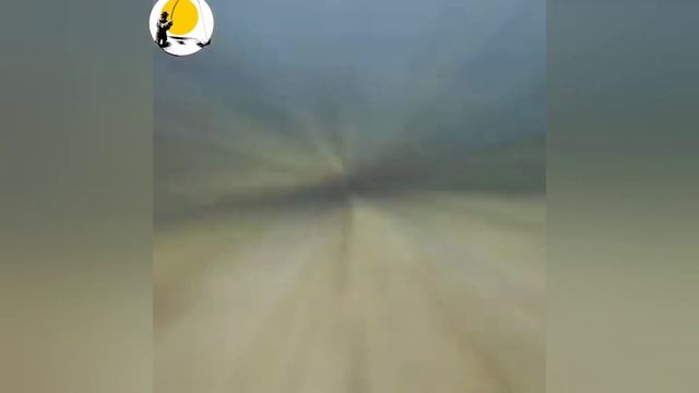 Самая большая топ подборка лучших атак щуки под водой на живца и другие и снасти.Pike attacks top. смотреть онлайн