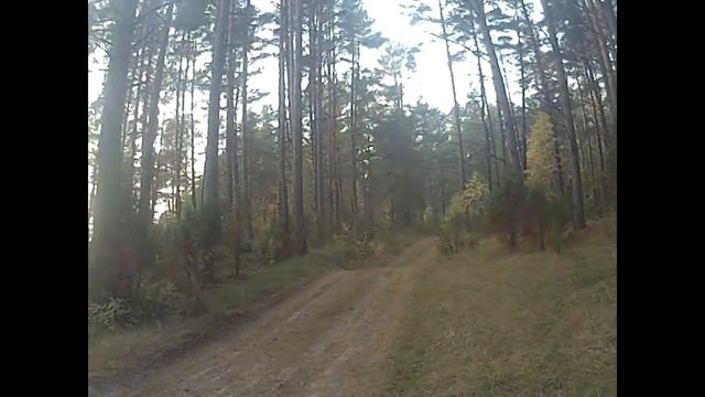 экскурсии на квадроциклах в г.Гродно смотреть онлайн