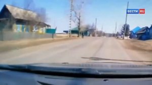Собака напала на школьника!!!