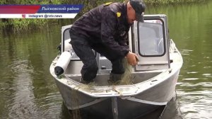 С 15 апреля по 15 июня начинается нерест рыбы в водоемах Нижегородской области