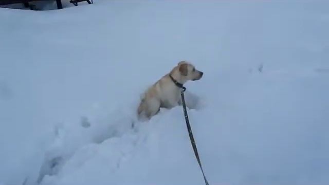 Человек и снегоход 2 смотреть онлайн