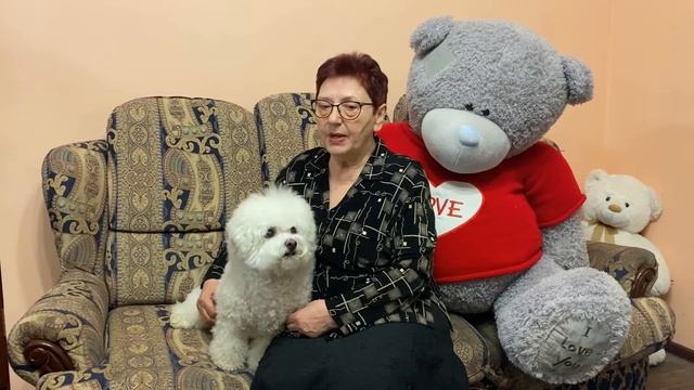 Сказка Как собака друга искала