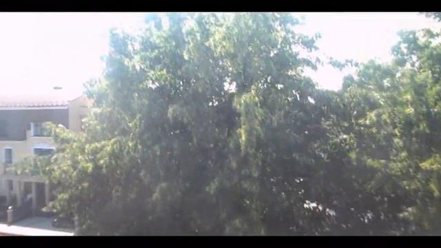 Парк Румянцовых-Паскевичей Гомель смотреть онлайн